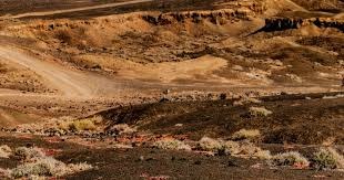 什么是“Tilt（上头）”的生物学原理？解析大脑杏仁核是如何接管理智的。（从神经科学看“上头”（Tilt）：杏仁核如何接管你的理性）