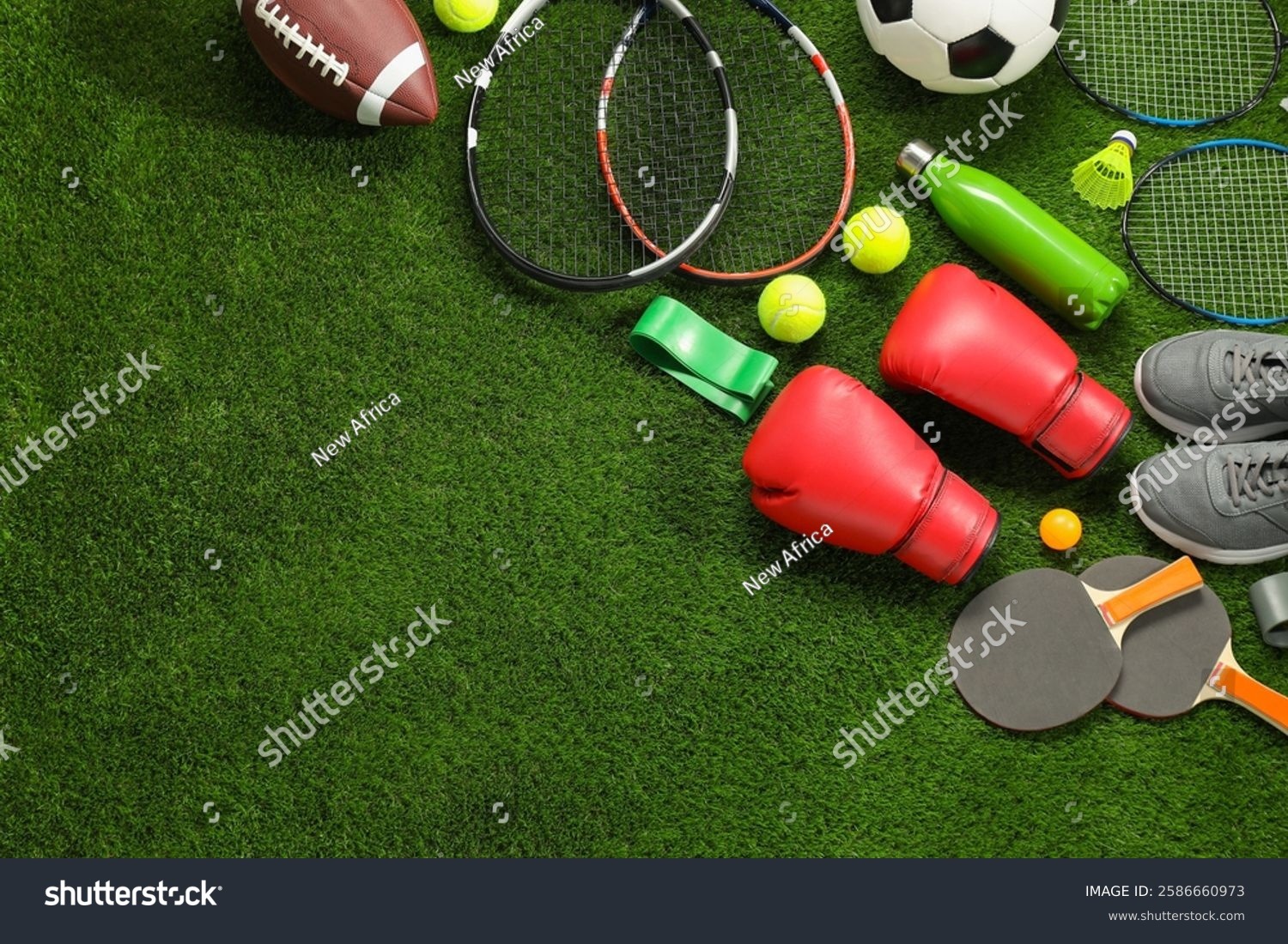 奥运摘牌全运领跑 山东“十四五”体育事业多点开花